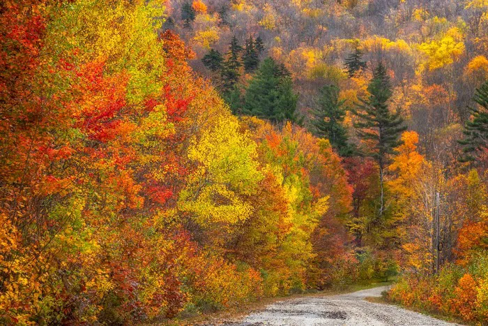 Mt Sunapee State Park Campground Picture 4