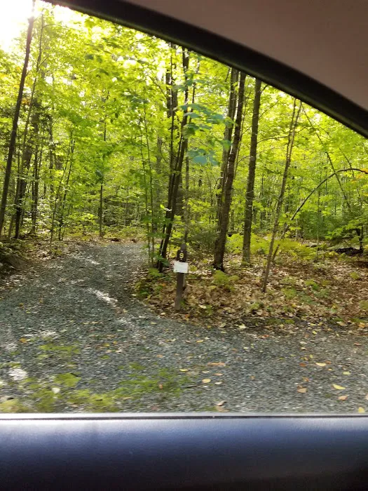 Mt Sunapee State Park Campground Picture 7