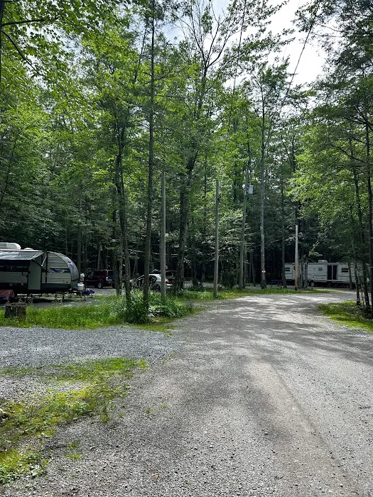 Spacious Skies Campgrounds - French Pond Picture 2