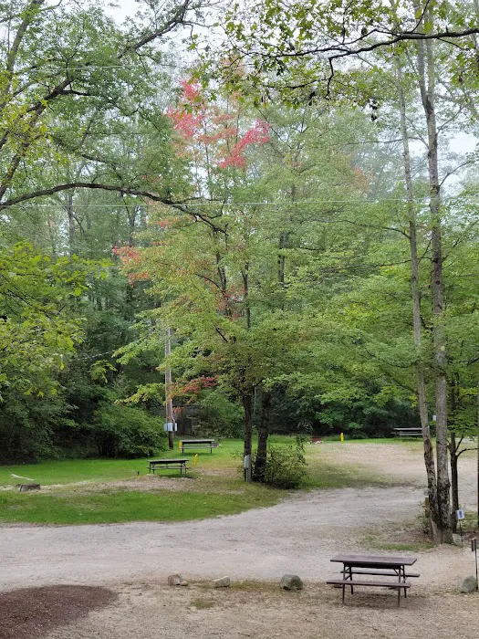 Keyser Pond Campground Picture 9