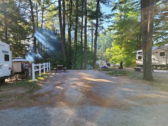 Cold Springs Camp Resort Picture 5