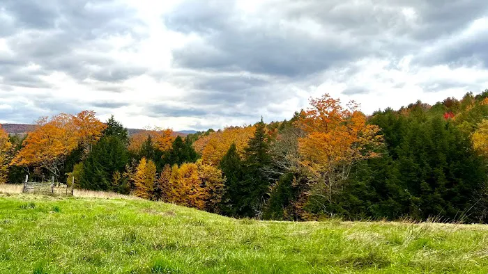 Four Springs Farm & Campground Picture 5