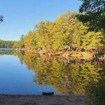 Ayoho Campground