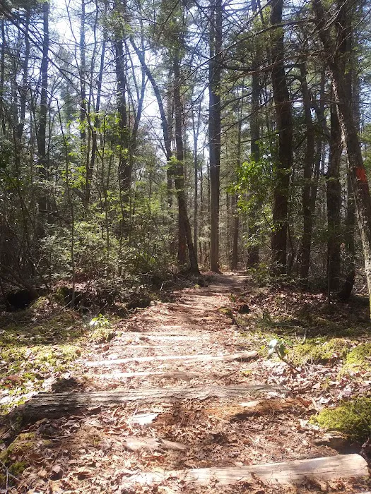 George Washington State Campground and Management Area Picture 10
