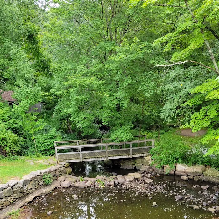 Sutton Falls Camping Area Picture 10
