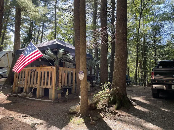 Calef Lake Campground Picture 4