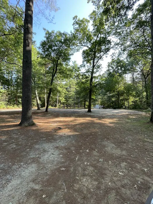Lorraine Park Campground Picture 4