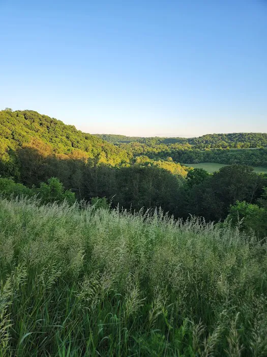 Mountain Top RV Campground Picture 5