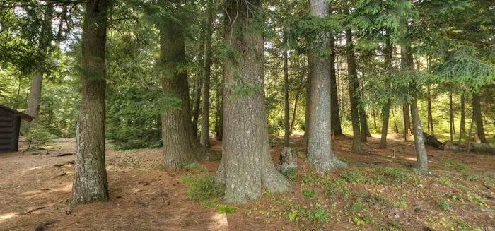 Tioga Point Campground - Lean-To - Site #7 Picture 9