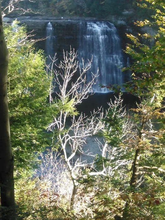 J & J Campgrounds Picture 8