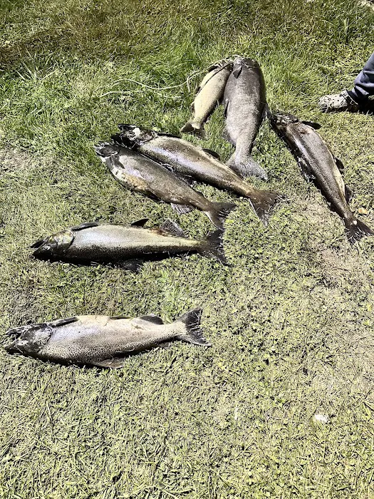 Sportsmans Paradise LLC Picture 5