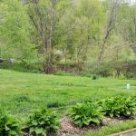 Arbor Court Mobile Home Park