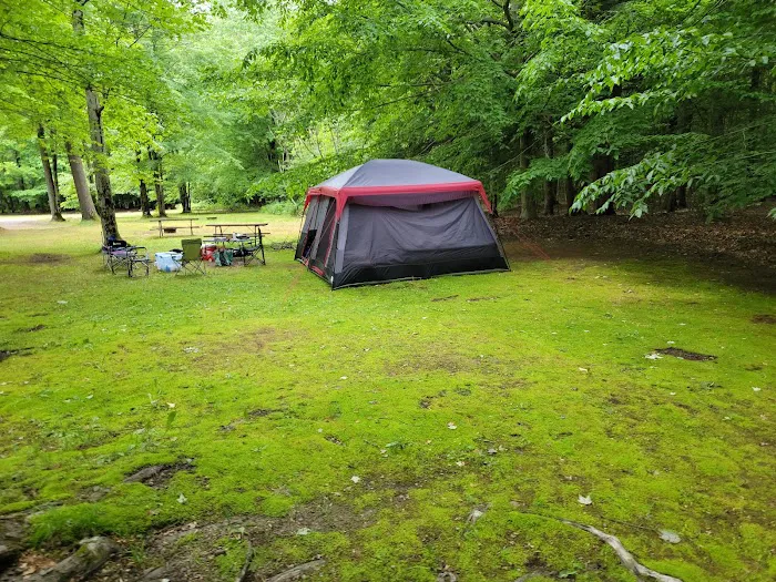 Pleasant Lake Campground Picture 7