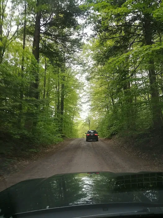 Pleasant Lake Campground Picture 6