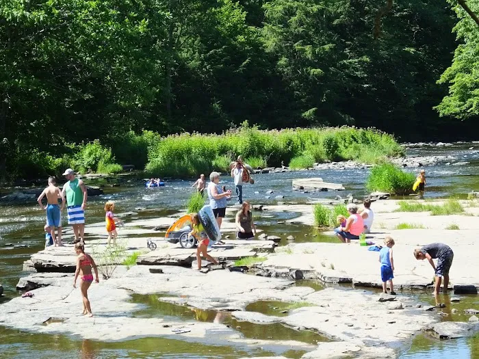 Yogi Bear's Jellystone Park at Mexico, NY Picture 2