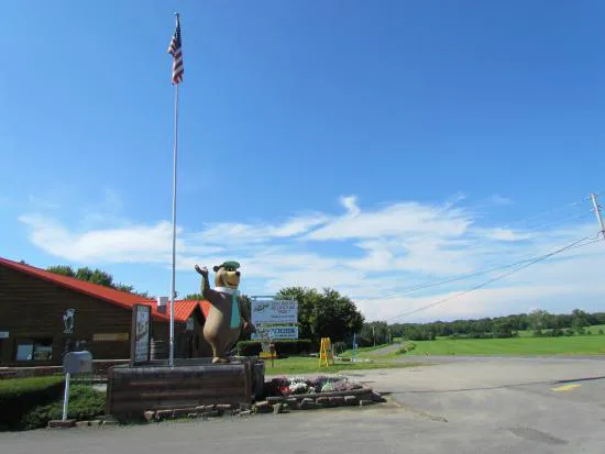 Yogi Bear's Jellystone Park at Mexico, NY Picture 8