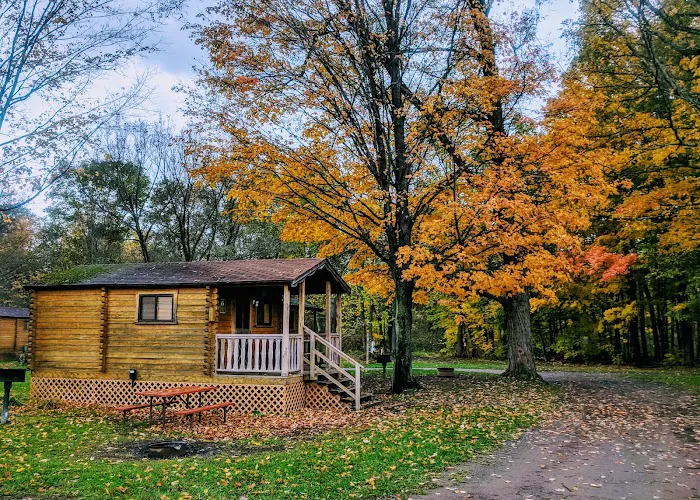 Yogi Bear's Jellystone Park at Mexico, NY Picture 1