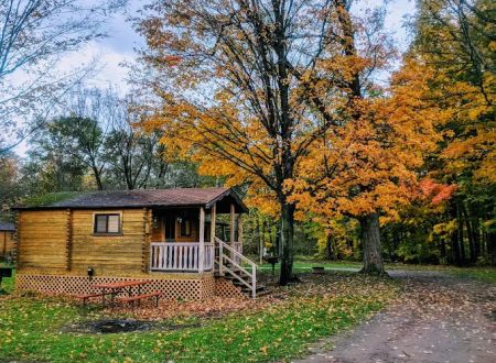 Yogi Bear's Jellystone Park at Mexico, NY