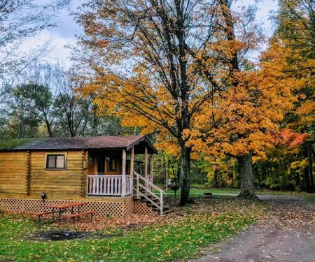 Yogi Bear's Jellystone Park at Mexico, NY