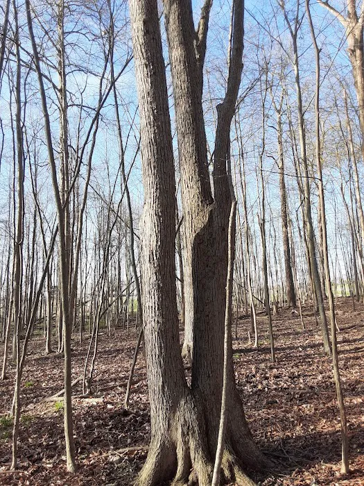 Hidden Lakes Picture 6