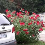 S & G Mobile Home Sales
