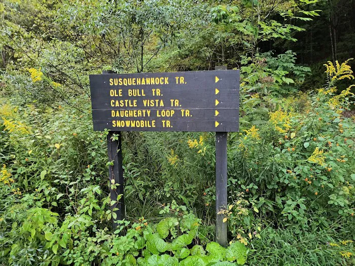Ole Bull State Park Picture 2