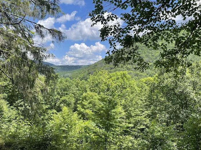 Ole Bull State Park Picture 10