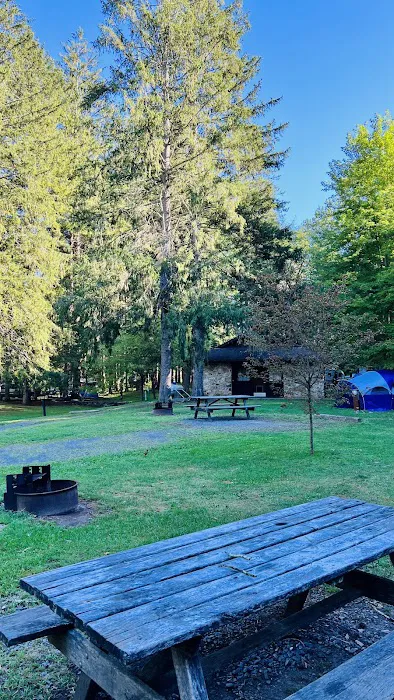 Ole Bull State Park Picture 5