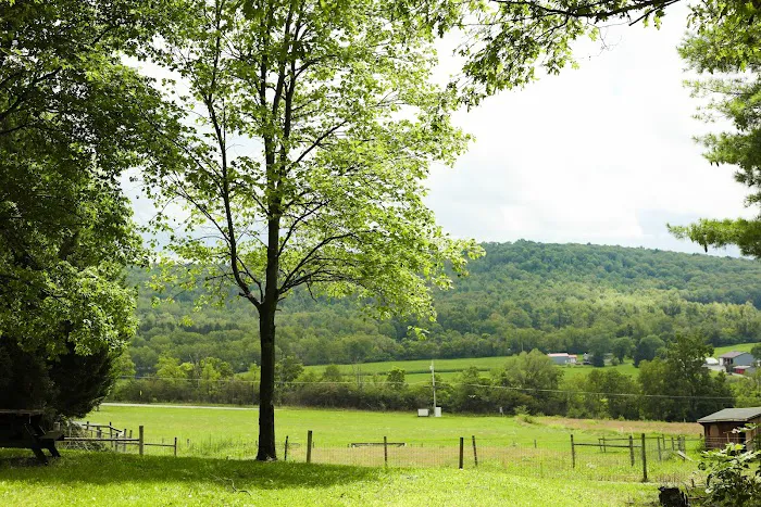 The Bellefonte Campground Picture 9