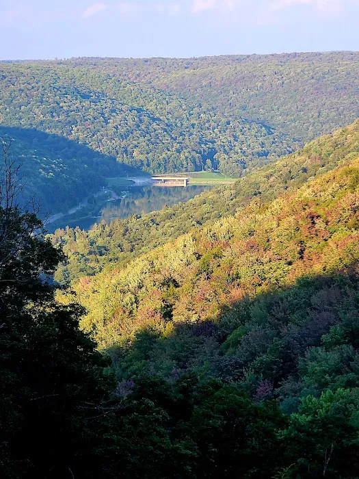 Lyman Run Lower Campgrounds Picture 4