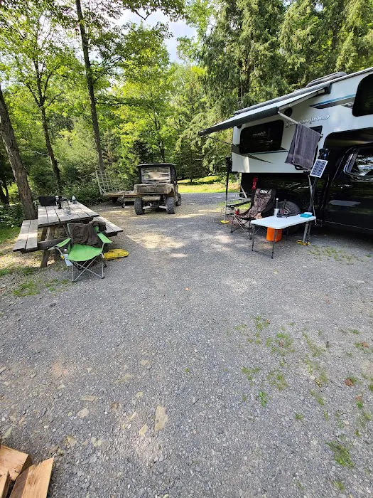 Lyman Run Lower Campgrounds Picture 10
