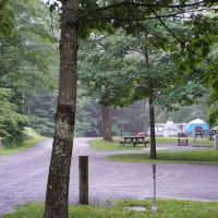 Lyman Run Daggett Campgrounds ico