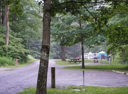 Lyman Run Daggett Campgrounds