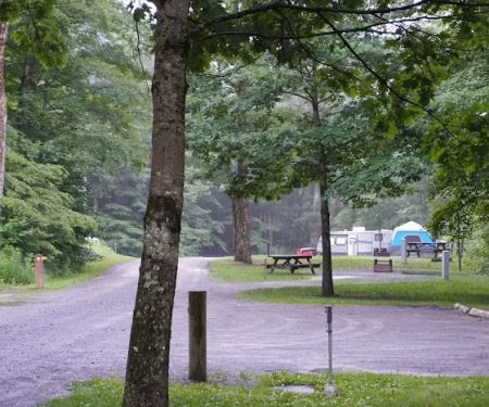 Lyman Run Daggett Campgrounds