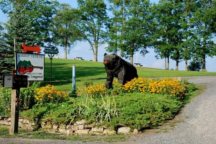 Quiet Oaks Campground Picture 4