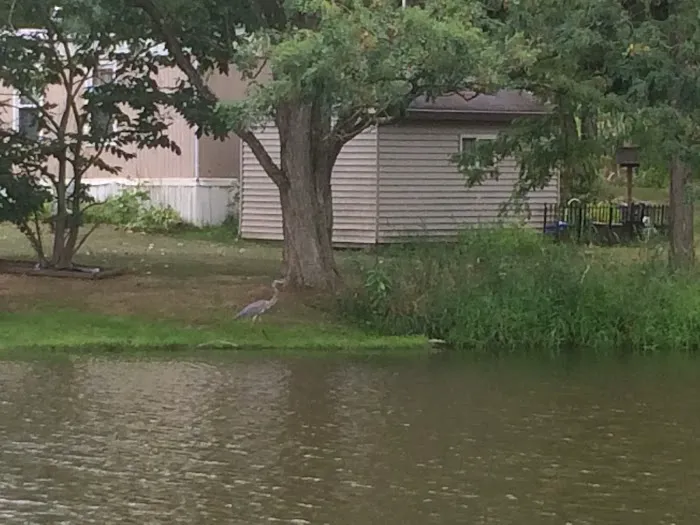 Spring Lakes Mobile Home Park Picture 7