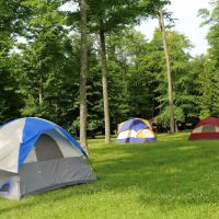 Cherry Springs State Park Rustic Campground ico