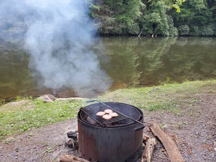 Lower Campground Kettle Creek State Park Picture 9