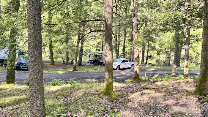 Lower Campground Kettle Creek State Park Picture 6