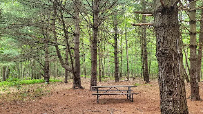 Whispering Pines Picture 4