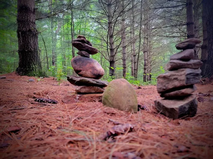 Whispering Pines Picture 3