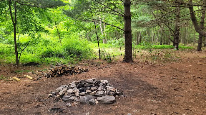 Whispering Pines Picture 8