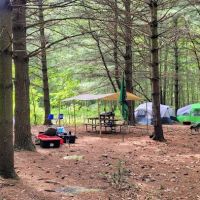 Whispering Pines ico