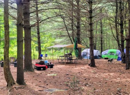 Whispering Pines