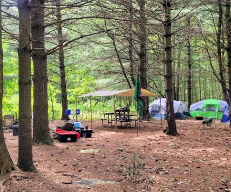 Whispering Pines