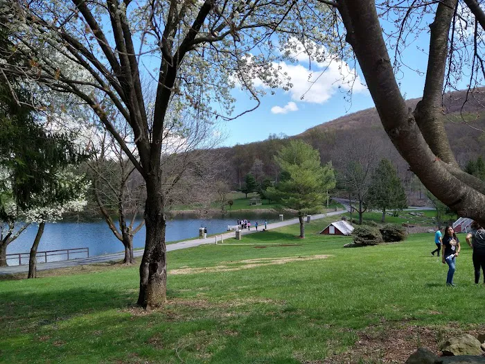 Summit Lake Camp Picture 2