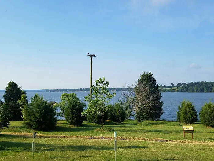 Travel Camp Picture 7