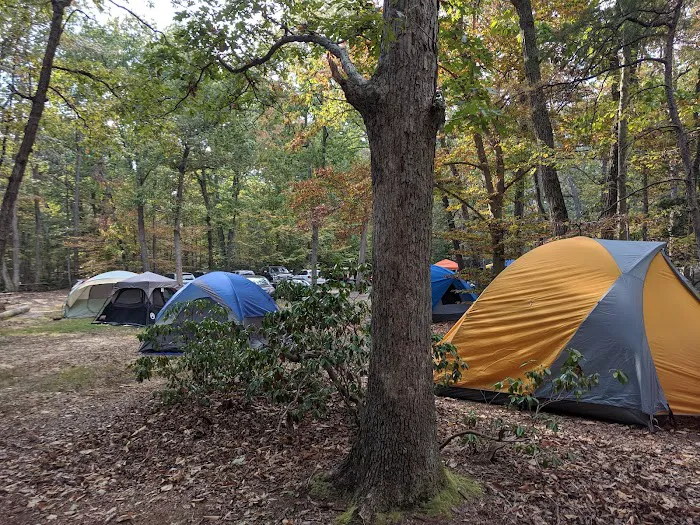 Camp Wilson Picture 5