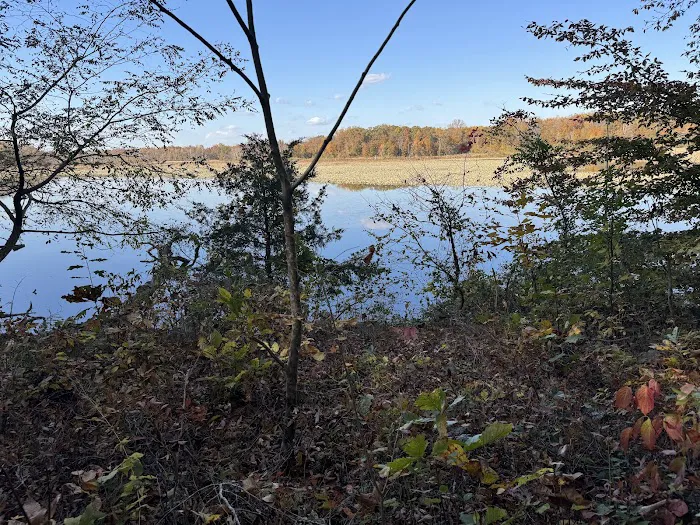 Camp Wilson Picture 10
