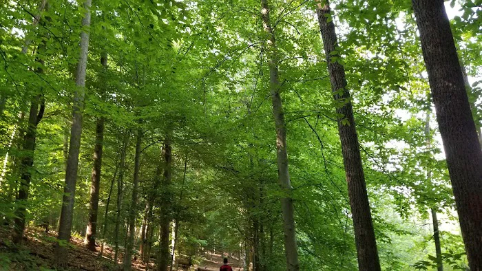 Camp Wilson Picture 8